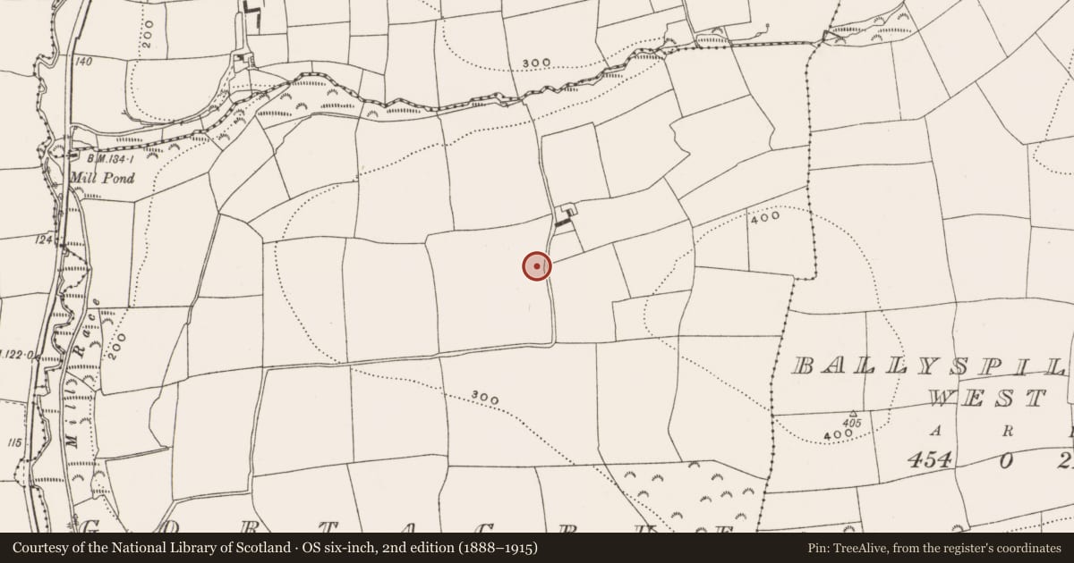 Ordnance Survey six-inch map, 2nd edition (1888–1915) covering the location of Ringfort - rath, Gortacrue, County Cork, with a pin at the register's coordinates