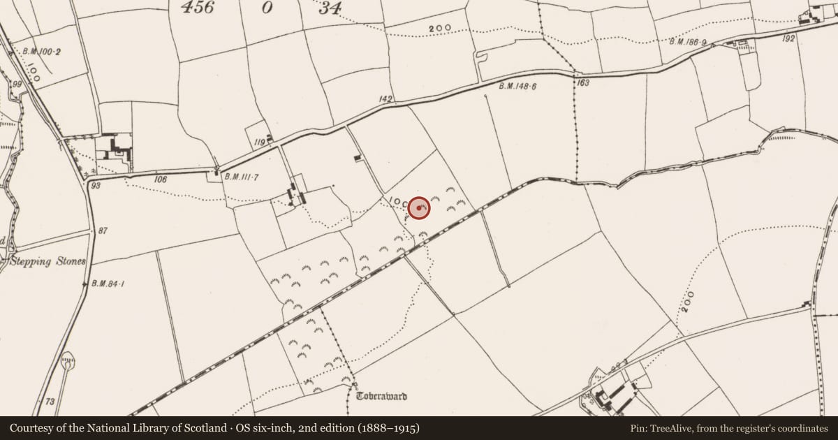 Ordnance Survey six-inch map, 2nd edition (1888–1915) covering the location of Fulacht fia, Gortacrue, County Cork, with a pin at the register's coordinates