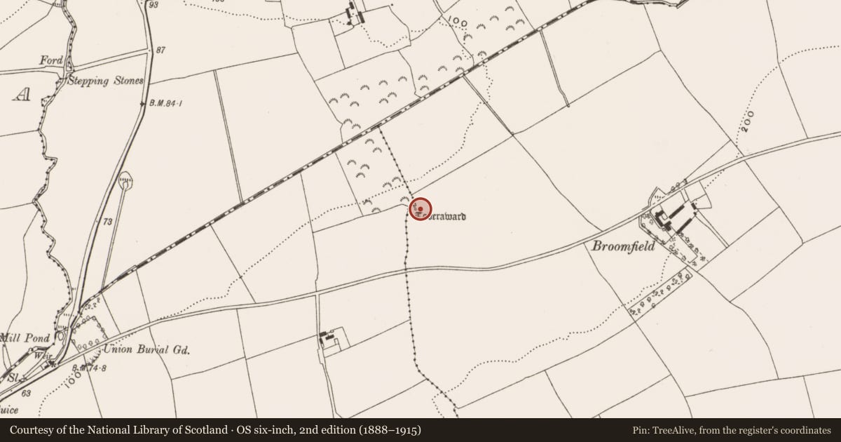 Ordnance Survey six-inch map, 2nd edition (1888–1915) covering the location of Ritual site - holy well, Broomfield East, County Cork, with a pin at the register's coordinates