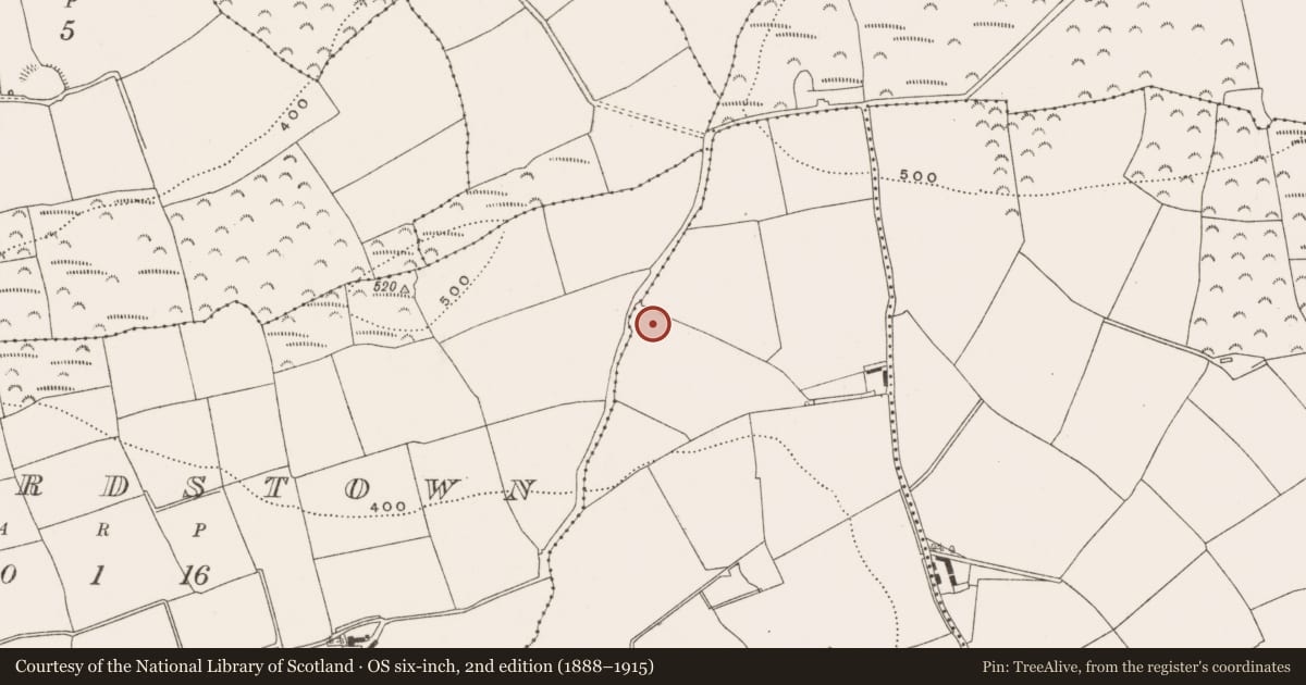Ordnance Survey six-inch map, 2nd edition (1888–1915) covering the location of Ringfort - rath, Ballyspillane West, County Cork, with a pin at the register's coordinates