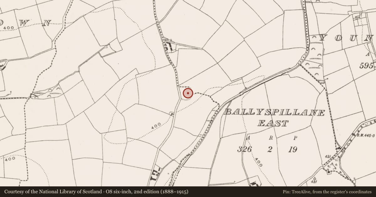 Ordnance Survey six-inch map, 2nd edition (1888–1915) covering the location of Ringfort - rath, Ballyspillane West, County Cork, with a pin at the register's coordinates