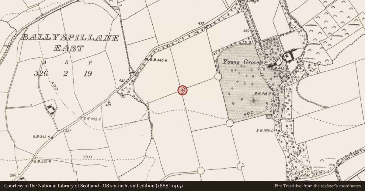 Ordnance Survey six-inch map, 2nd edition (1888–1915) covering the location of Designed landscape feature, Young-Grove, County Cork, with a pin at the register's coordinates