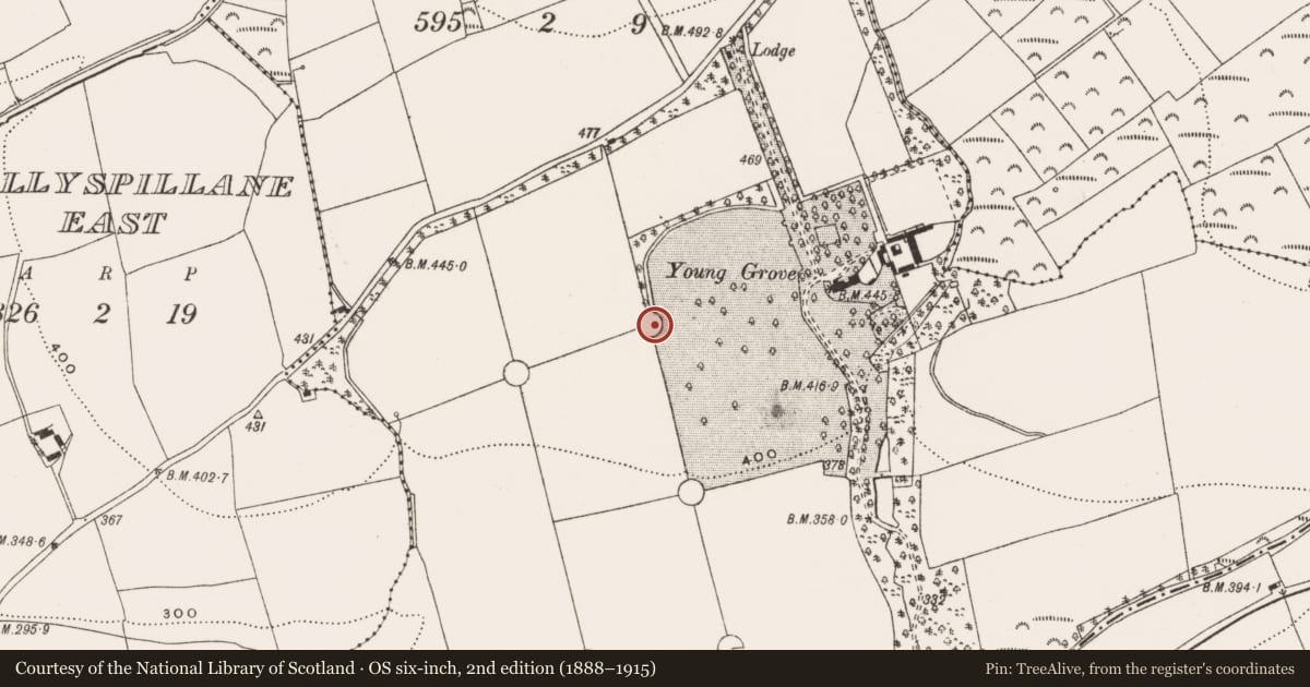 Ordnance Survey six-inch map, 2nd edition (1888–1915) covering the location of Designed landscape feature, Young-Grove, County Cork, with a pin at the register's coordinates