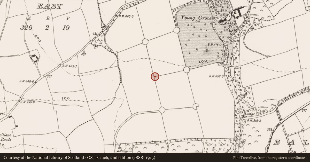 Ordnance Survey six-inch map, 2nd edition (1888–1915) covering the location of Designed landscape feature, Young-Grove, County Cork, with a pin at the register's coordinates