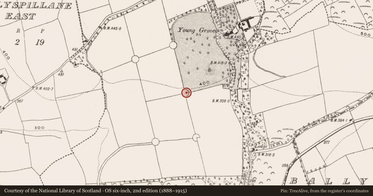 Ordnance Survey six-inch map, 2nd edition (1888–1915) covering the location of Designed landscape feature, Young-Grove, County Cork, with a pin at the register's coordinates