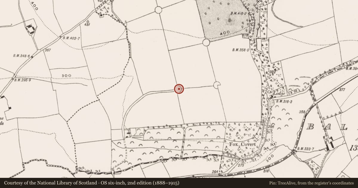 Ordnance Survey six-inch map, 2nd edition (1888–1915) covering the location of Designed landscape feature, Young-Grove, County Cork, with a pin at the register's coordinates
