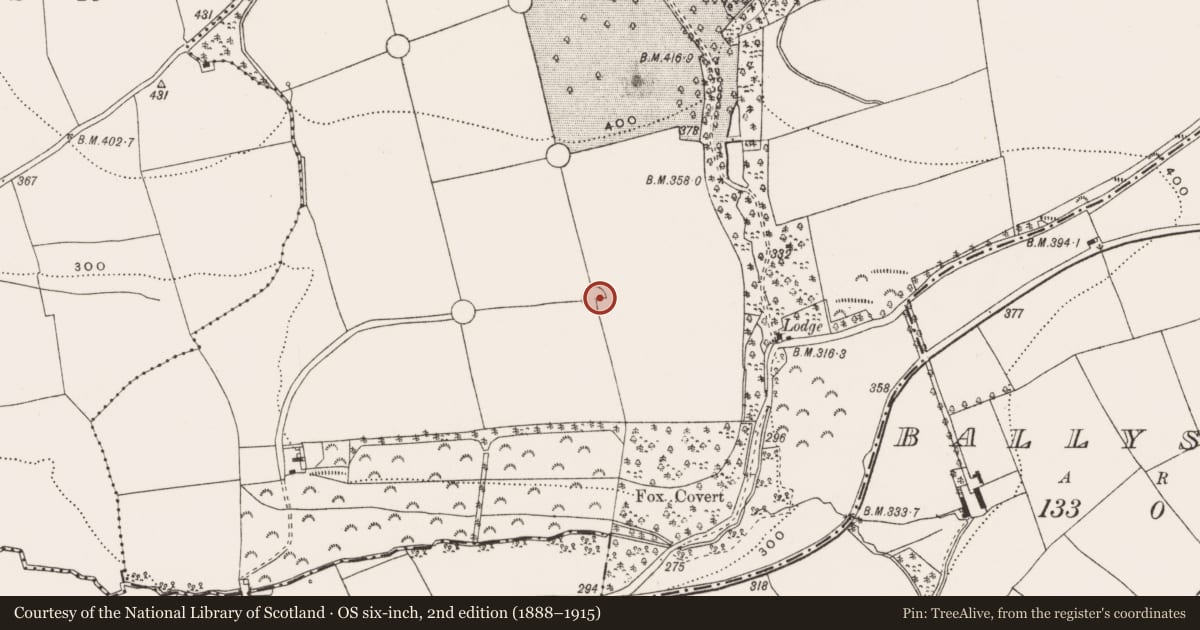 Ordnance Survey six-inch map, 2nd edition (1888–1915) covering the location of Designed landscape feature, Young-Grove, County Cork, with a pin at the register's coordinates