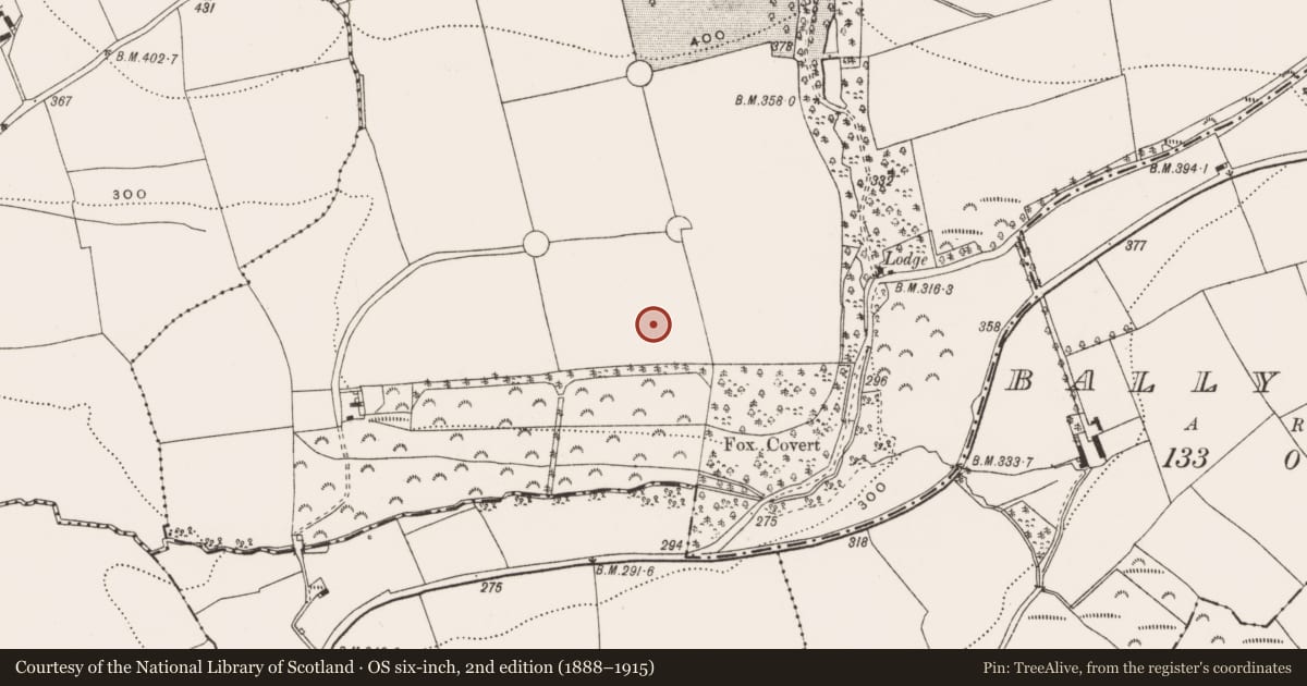 Ordnance Survey six-inch map, 2nd edition (1888–1915) covering the location of Standing stone, Young-Grove, County Cork, with a pin at the register's coordinates