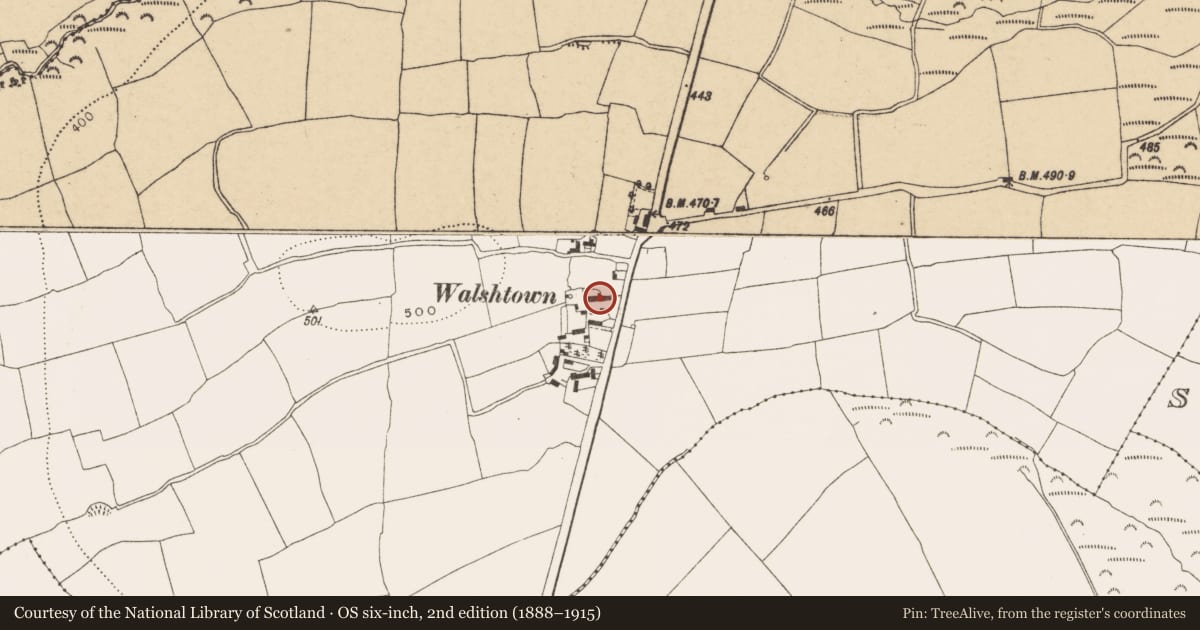Ordnance Survey six-inch map, 2nd edition (1888–1915) covering the location of House - vernacular house, Walshtown Beg, County Cork, with a pin at the register's coordinates