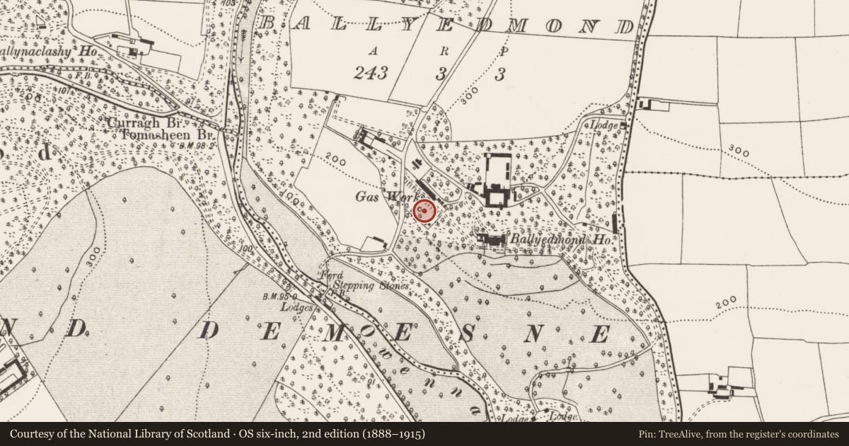 Ordnance Survey six-inch map, 2nd edition (1888–1915) covering the location of Designed landscape - belvedere, Ballyedmond, County Cork, with a pin at the register's coordinates