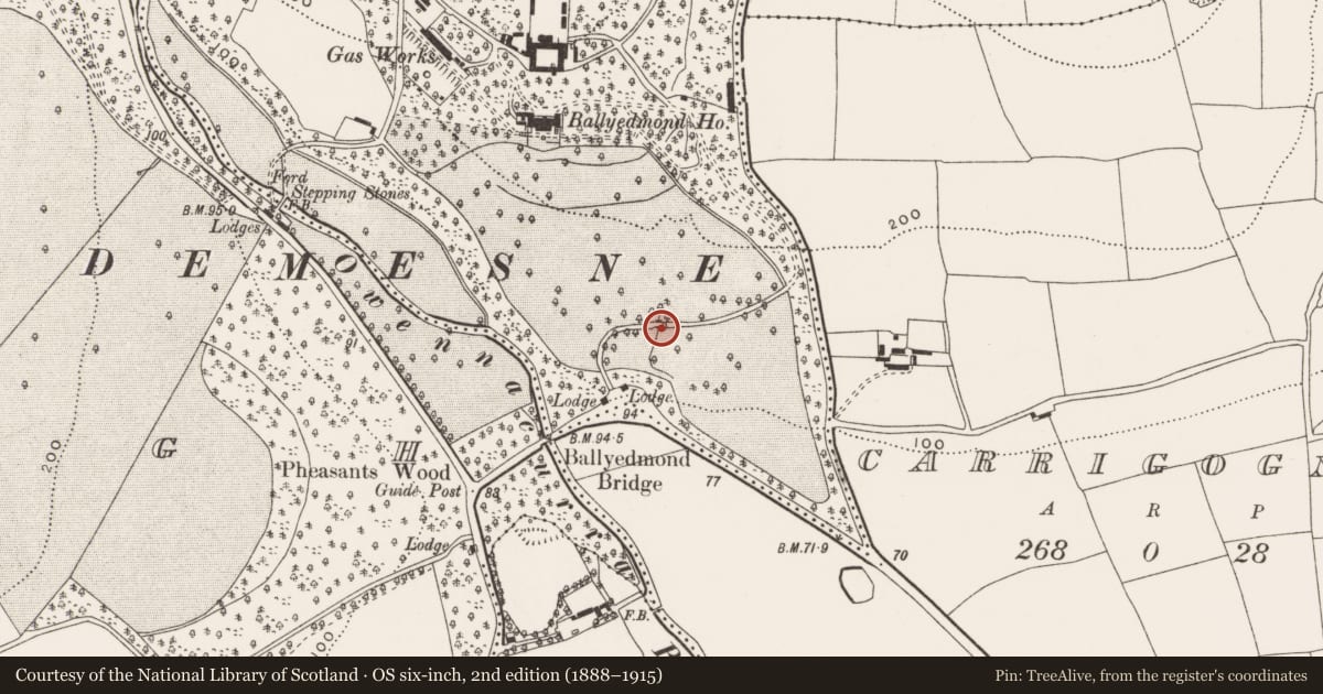 Ordnance Survey six-inch map, 2nd edition (1888–1915) covering the location of Bridge, Ballyedmond, County Cork, with a pin at the register's coordinates