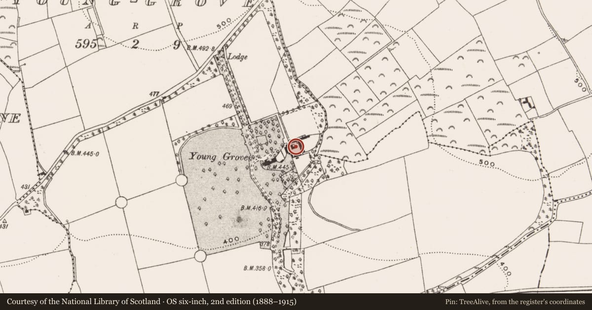 Ordnance Survey six-inch map, 2nd edition (1888–1915) covering the location of Mill - threshing, Young-Grove, County Cork, with a pin at the register's coordinates