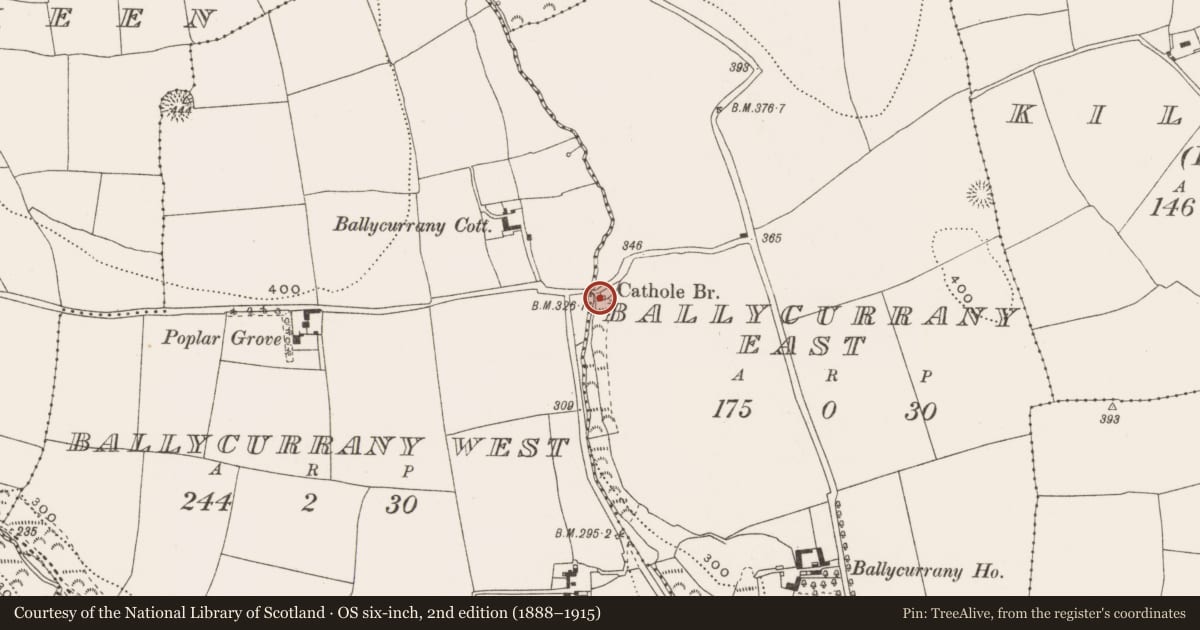 Ordnance Survey six-inch map, 2nd edition (1888–1915) covering the location of Kiln - lime, Ballycurrany East, County Cork, with a pin at the register's coordinates