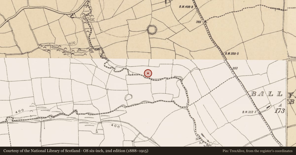 Ordnance Survey six-inch map, 2nd edition (1888–1915) covering the location of Fulacht fia, Rathorgan, County Cork, with a pin at the register's coordinates