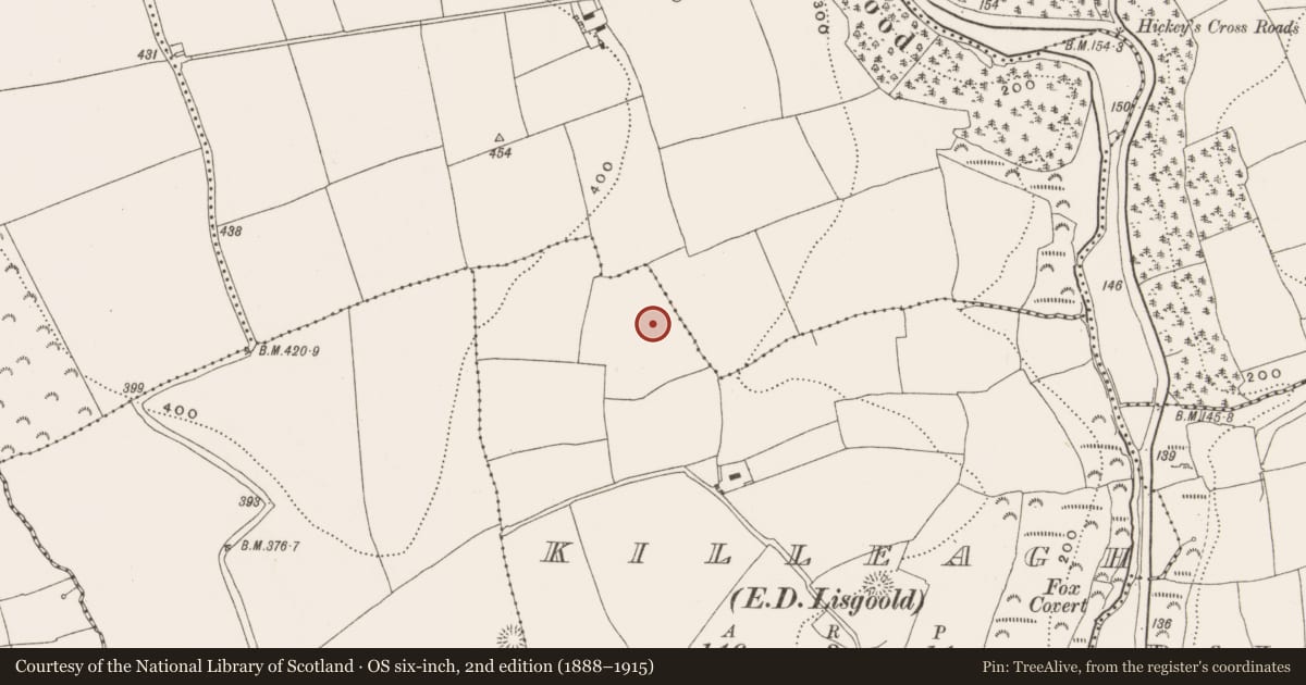 Ordnance Survey six-inch map, 2nd edition (1888–1915) covering the location of Fulacht fia, Killeagh (Barrymore By., Ballycurrany Par.), County Cork, with a pin at the register's coordinates