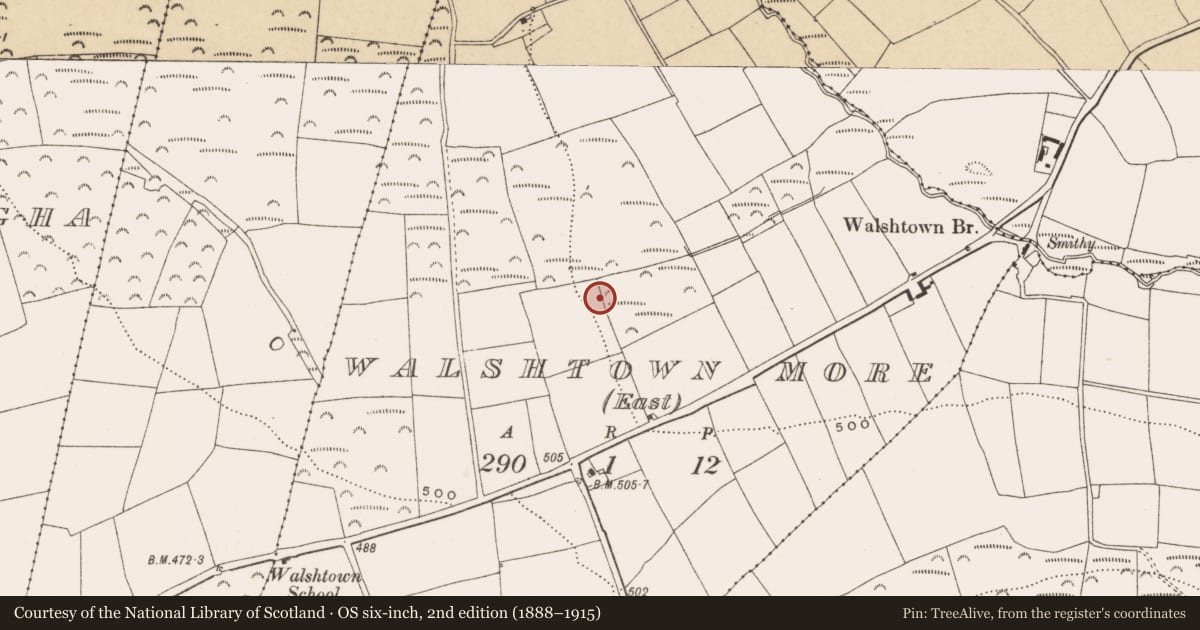 Ordnance Survey six-inch map, 2nd edition (1888–1915) covering the location of Fulacht fia, Walshtown More (East), County Cork, with a pin at the register's coordinates