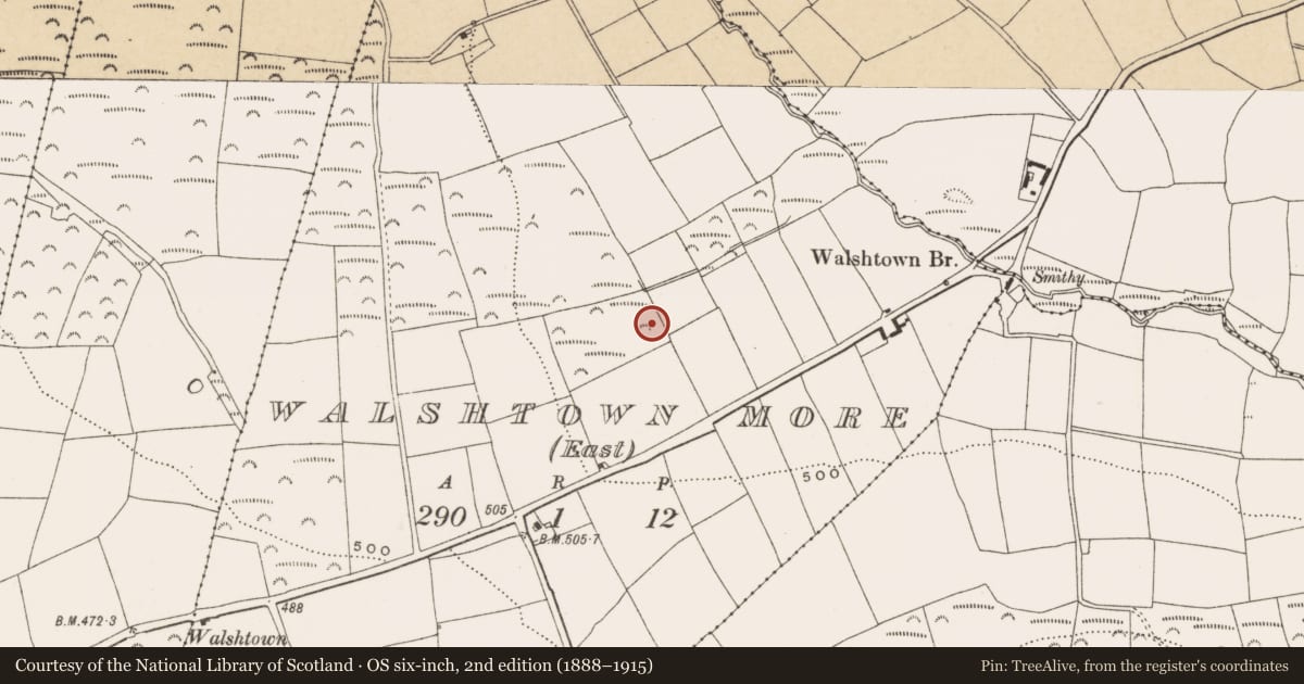 Ordnance Survey six-inch map, 2nd edition (1888–1915) covering the location of Fulacht fia, Walshtown More (East), County Cork, with a pin at the register's coordinates