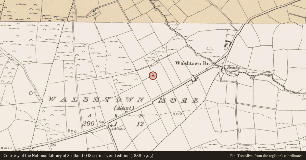 Ordnance Survey six-inch map, 2nd edition (1888–1915) covering the location of Fulacht fia, Walshtown More (East), County Cork, with a pin at the register's coordinates