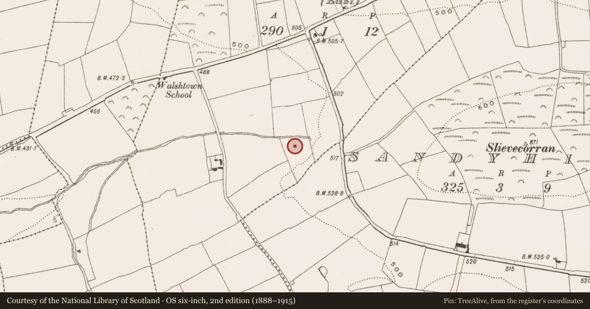 Ordnance Survey six-inch map, 2nd edition (1888–1915) covering the location of Burnt mound, Walshtown More (East), County Cork, with a pin at the register's coordinates