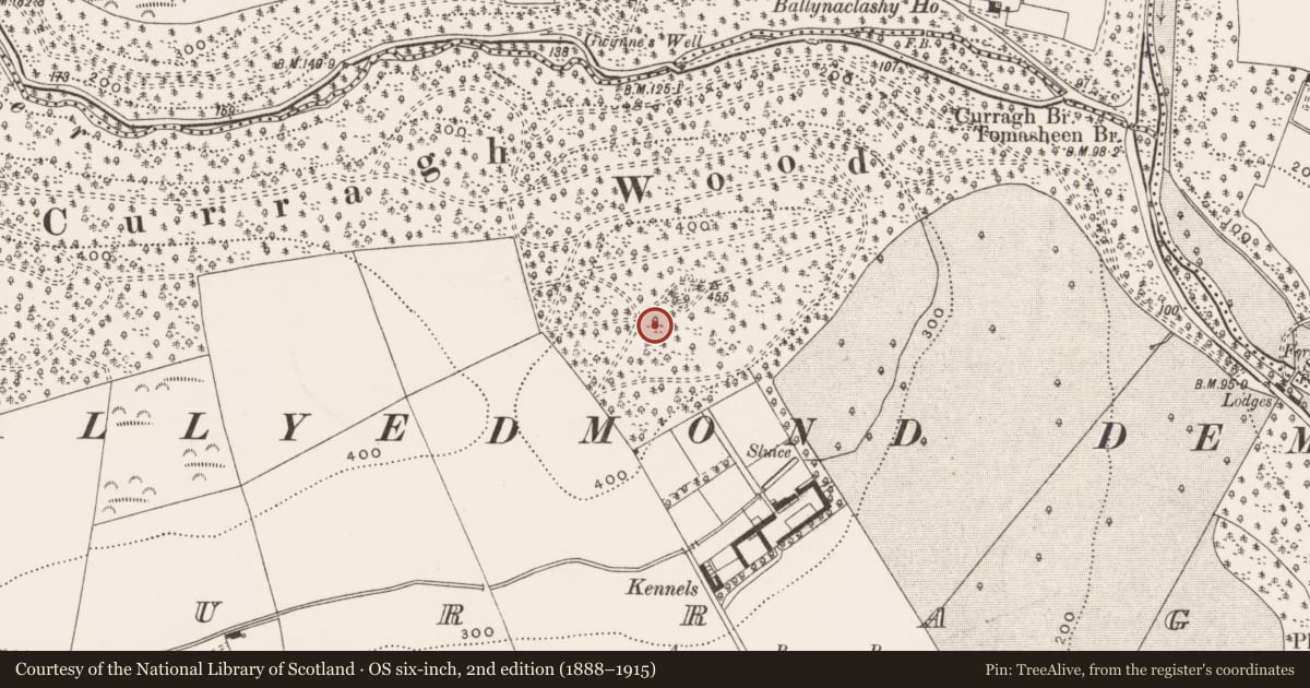 Ordnance Survey six-inch map, 2nd edition (1888–1915) covering the location of Enclosure, Curragh, County Cork, with a pin at the register's coordinates
