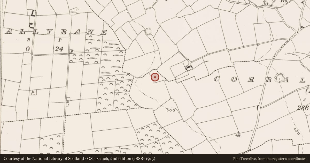 Ordnance Survey six-inch map, 2nd edition (1888–1915) covering the location of Burnt mound, Corbally South (Barrymore By., Lisgoold Par.), County Cork, with a pin at the register's coordinates