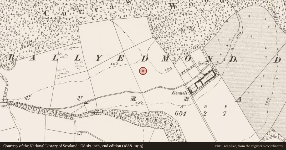 Ordnance Survey six-inch map, 2nd edition (1888–1915) covering the location of Enclosure, Curragh, County Cork, with a pin at the register's coordinates