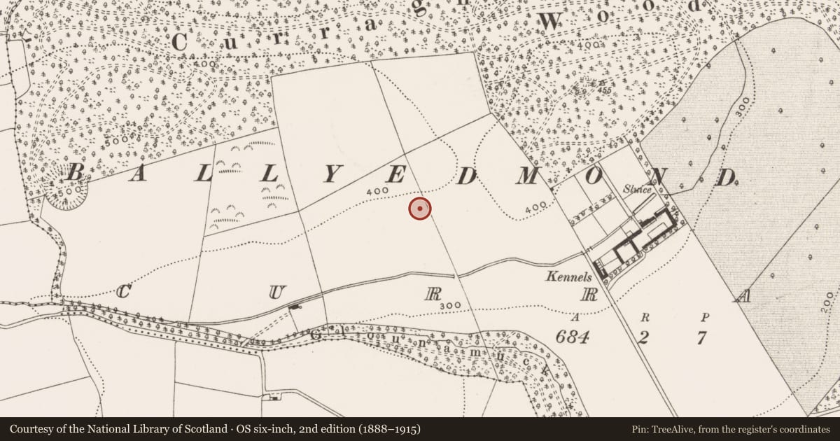 Ordnance Survey six-inch map, 2nd edition (1888–1915) covering the location of Enclosure, Curragh, County Cork, with a pin at the register's coordinates