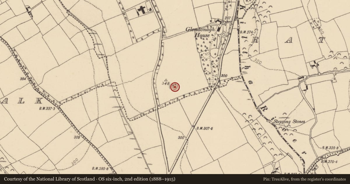 Ordnance Survey six-inch map, 2nd edition (1888–1915) covering the location of Ringfort - rath, Ballydonagh More, County Cork, with a pin at the register's coordinates