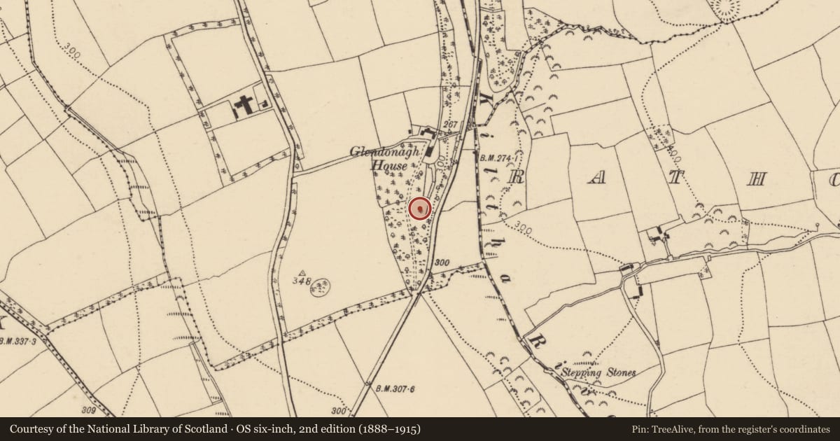 Ordnance Survey six-inch map, 2nd edition (1888–1915) covering the location of Enclosure, Ballydonagh More, County Cork, with a pin at the register's coordinates