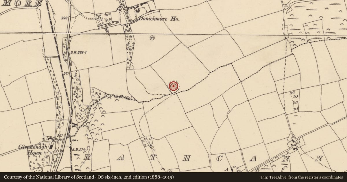 Ordnance Survey six-inch map, 2nd edition (1888–1915) covering the location of Ringfort - rath, Donickmore, County Cork, with a pin at the register's coordinates