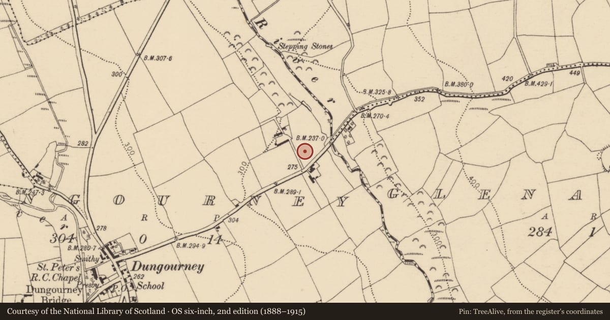 Ordnance Survey six-inch map, 2nd edition (1888–1915) covering the location of Ringfort - rath, Dungourney, County Cork, with a pin at the register's coordinates