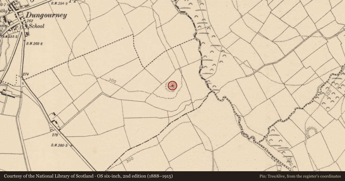 Ordnance Survey six-inch map, 2nd edition (1888–1915) covering the location of Ringfort - rath, Castlequarter, County Cork, with a pin at the register's coordinates