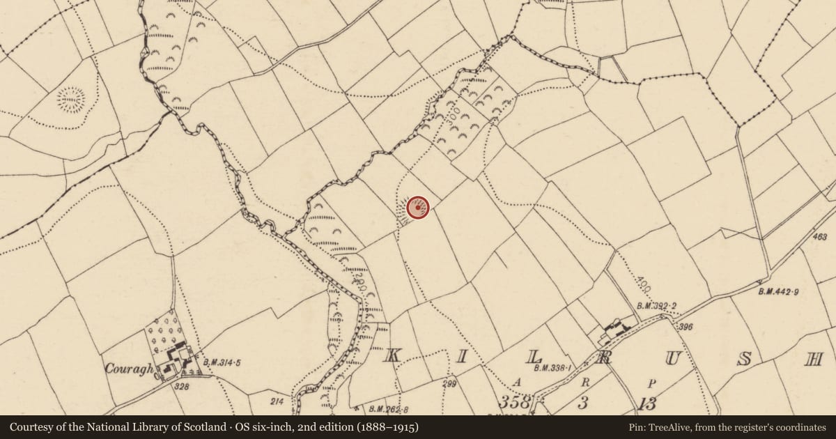 Ordnance Survey six-inch map, 2nd edition (1888–1915) covering the location of Ringfort - rath, Kilrush, County Cork, with a pin at the register's coordinates
