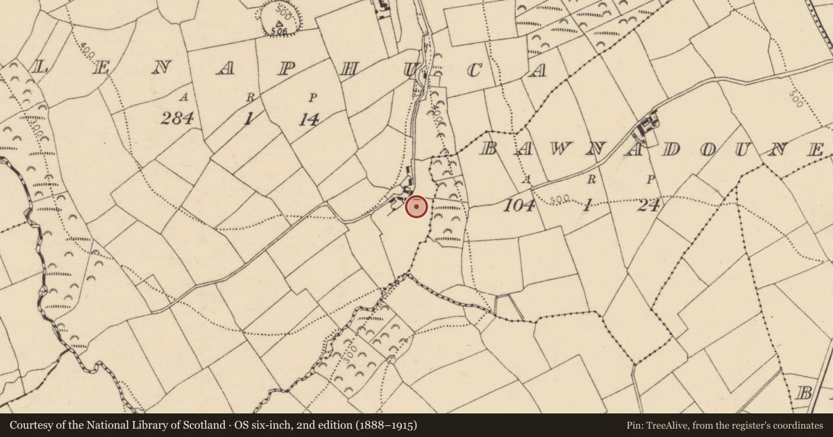 Ordnance Survey six-inch map, 2nd edition (1888–1915) covering the location of Ogham stone, Glenaphuca, County Cork, with a pin at the register's coordinates