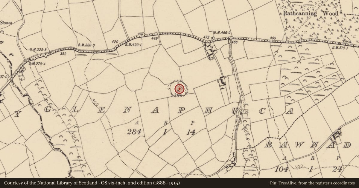 Ordnance Survey six-inch map, 2nd edition (1888–1915) covering the location of Souterrain, Glenaphuca, County Cork, with a pin at the register's coordinates