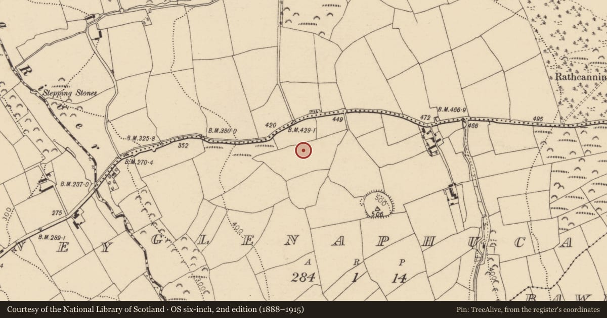 Ordnance Survey six-inch map, 2nd edition (1888–1915) covering the location of Fulacht fia, Glenaphuca, County Cork, with a pin at the register's coordinates