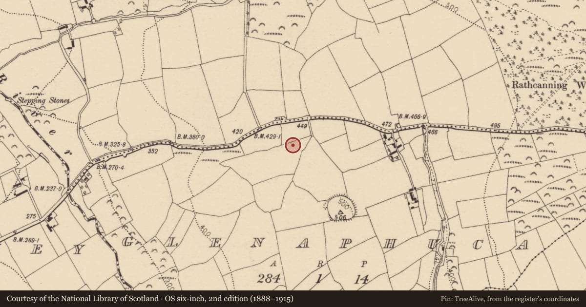 Ordnance Survey six-inch map, 2nd edition (1888–1915) covering the location of Fulacht fia, Glenaphuca, County Cork, with a pin at the register's coordinates