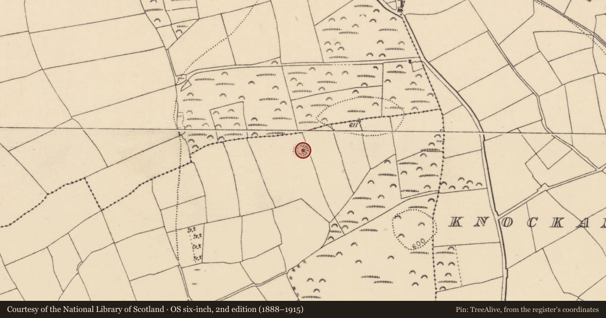 Ordnance Survey six-inch map, 2nd edition (1888–1915) covering the location of Ringfort - rath, Rathcanning, County Cork, with a pin at the register's coordinates