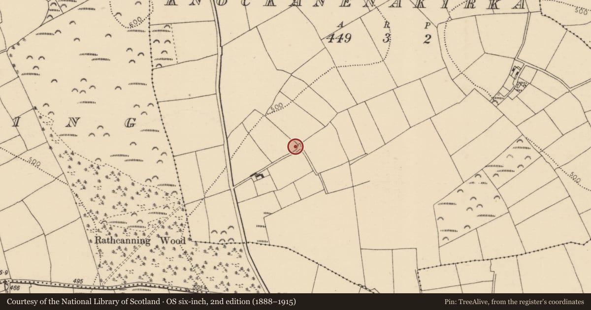 Ordnance Survey six-inch map, 2nd edition (1888–1915) covering the location of Enclosure, Knockanenakirka, County Cork, with a pin at the register's coordinates