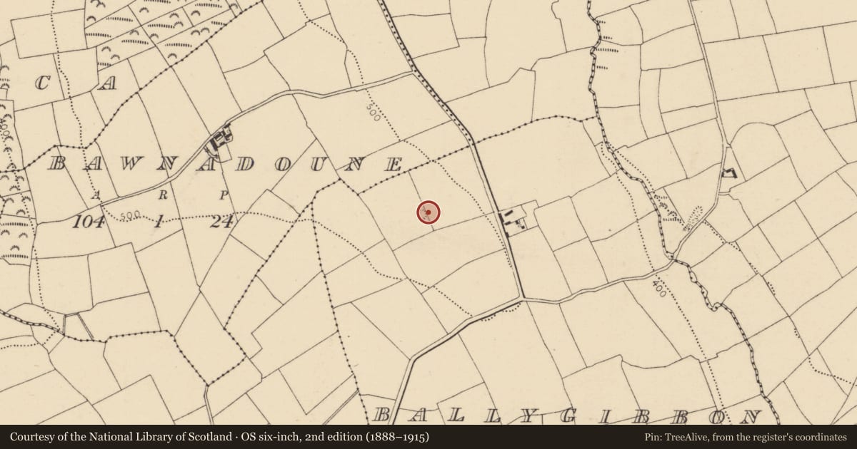 Ordnance Survey six-inch map, 2nd edition (1888–1915) covering the location of Enclosure, Ballygibbon, County Cork, with a pin at the register's coordinates