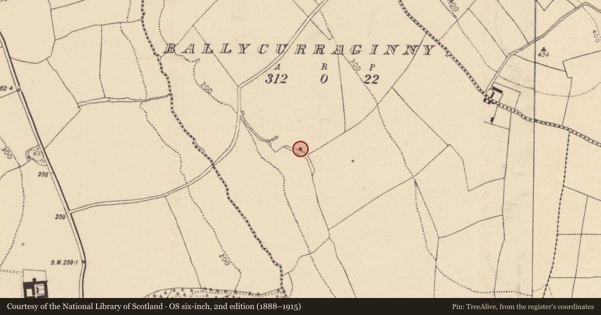 Ordnance Survey six-inch map, 2nd edition (1888–1915) covering the location of Kiln - lime, Ballycurraginny, County Cork, with a pin at the register's coordinates