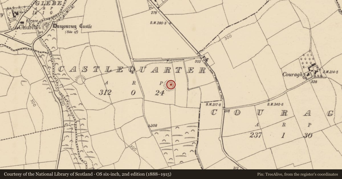 Ordnance Survey six-inch map, 2nd edition (1888–1915) covering the location of Ringfort - rath, Castlequarter, County Cork, with a pin at the register's coordinates