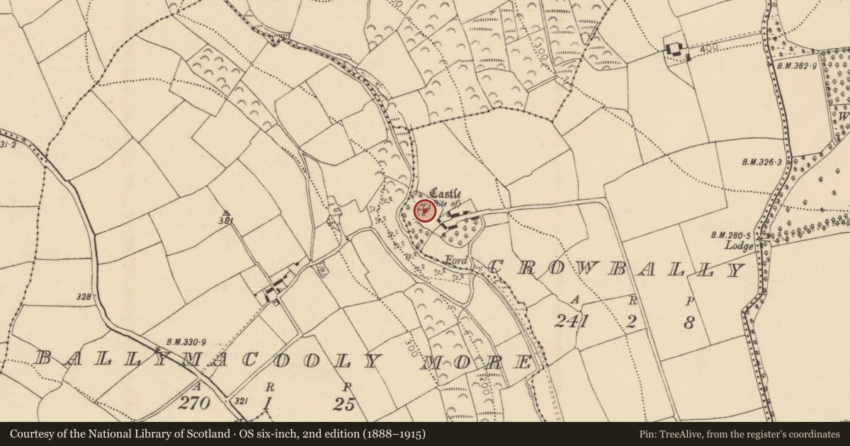 Ordnance Survey six-inch map, 2nd edition (1888–1915) covering the location of Castle - unclassified, Crowbally, County Cork, with a pin at the register's coordinates
