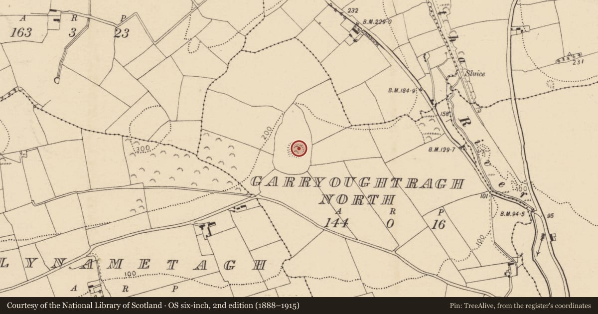 Ordnance Survey six-inch map, 2nd edition (1888–1915) covering the location of Ringfort - rath, Garryoughtragh North, County Cork, with a pin at the register's coordinates