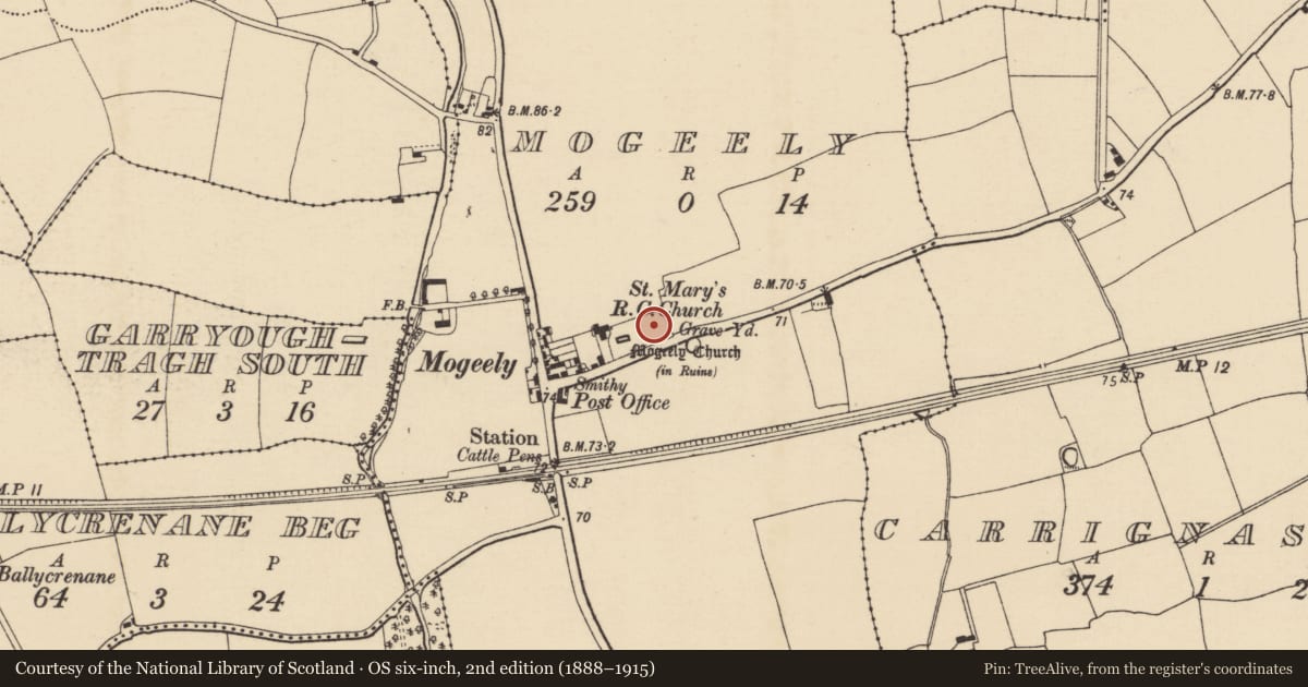 Ordnance Survey six-inch map, 2nd edition (1888–1915) covering the location of Graveyard, Mogeely, County Cork, with a pin at the register's coordinates