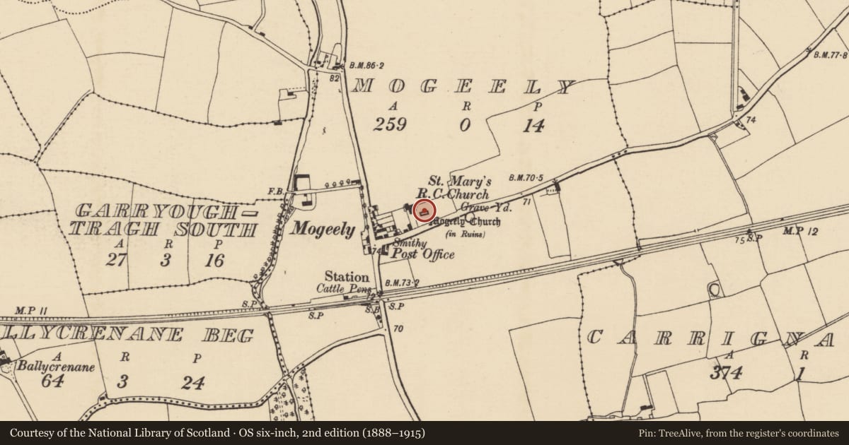 Ordnance Survey six-inch map, 2nd edition (1888–1915) covering the location of Church, Mogeely, County Cork, with a pin at the register's coordinates