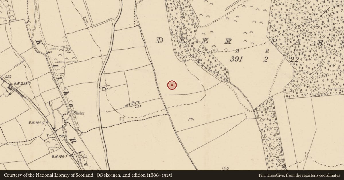 Ordnance Survey six-inch map, 2nd edition (1888–1915) covering the location of Ringfort - rath, Deer Park, County Cork, with a pin at the register's coordinates