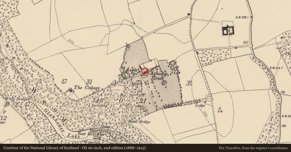 Ordnance Survey six-inch map, 2nd edition (1888–1915) covering the location of Country house, Aghadoe, County Cork, with a pin at the register's coordinates