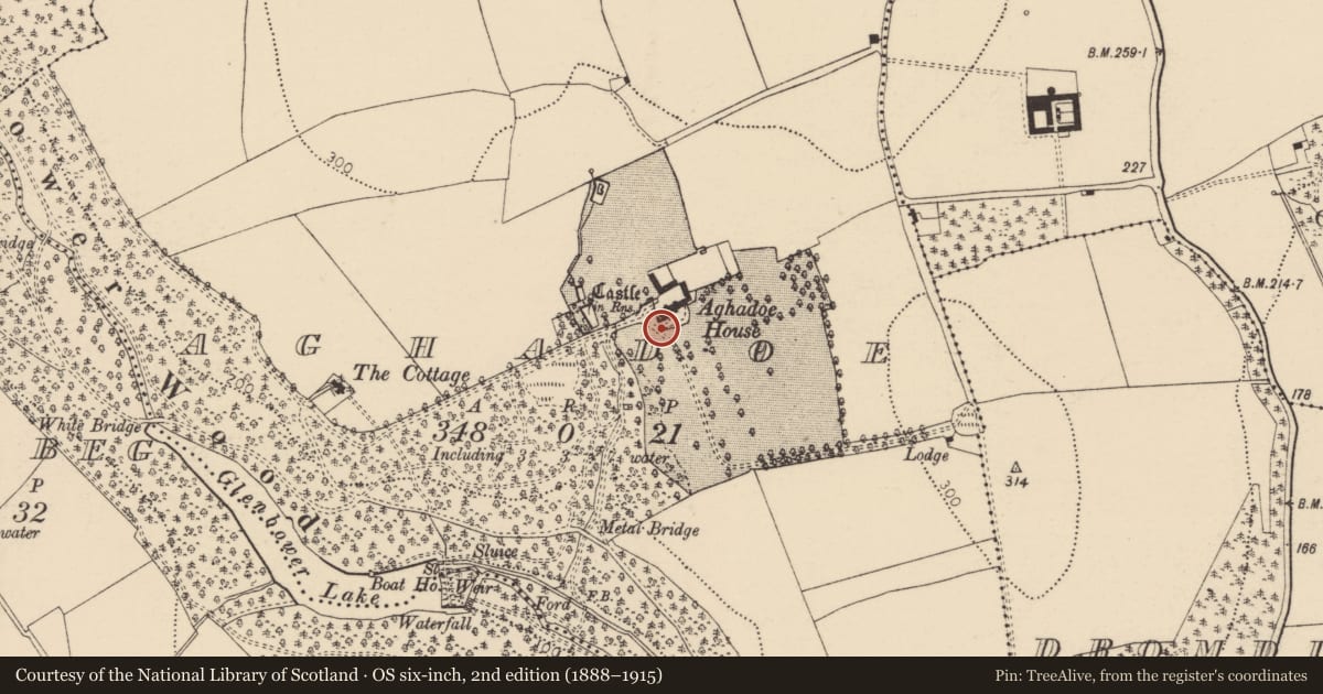 Ordnance Survey six-inch map, 2nd edition (1888–1915) covering the location of Dovecote, Aghadoe, County Cork, with a pin at the register's coordinates