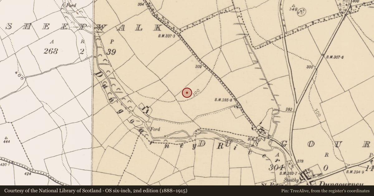 Ordnance Survey six-inch map, 2nd edition (1888–1915) covering the location of Souterrain, Sheepwalk, County Cork, with a pin at the register's coordinates